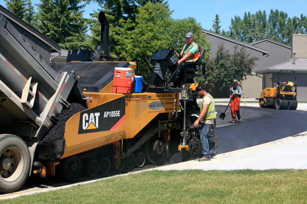 Best Driveway Pavers Near Me  in Young Harris, GA