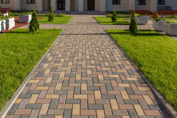 Best Local Driveway Pavers  in Young Harris, GA